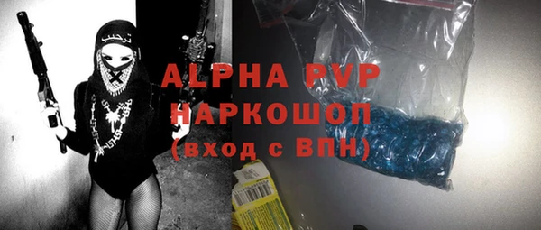 шишки Карпинск