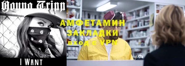 шишки Карпинск