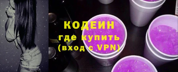 шишки Карпинск