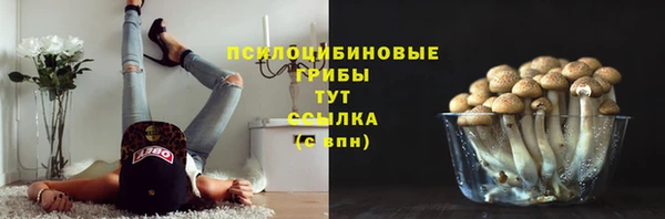ешки Фурманов