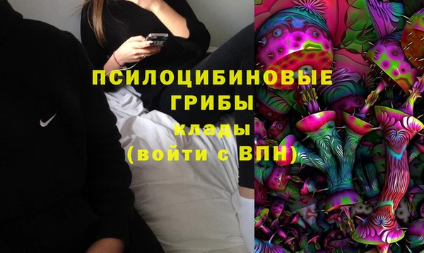 шишки Карпинск