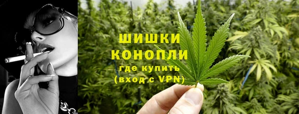 spice Каменногорск