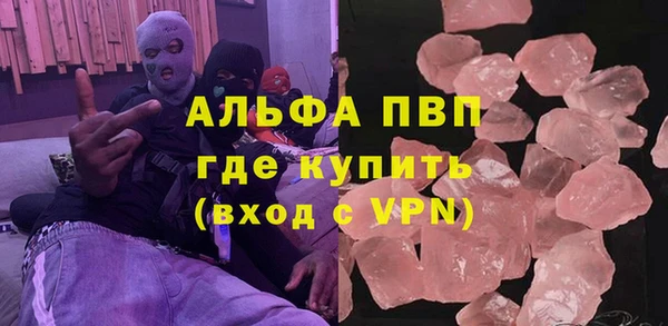 шишки Карпинск