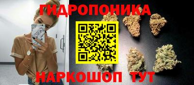 гашик Ипатово