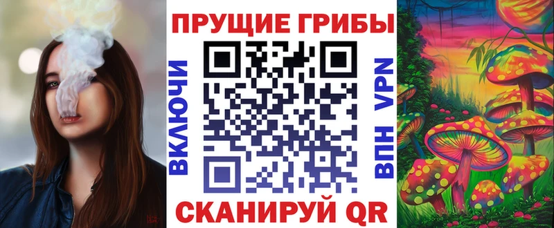 купить   Каменск-Шахтинский  Псилоцибиновые грибы GOLDEN TEACHER 
