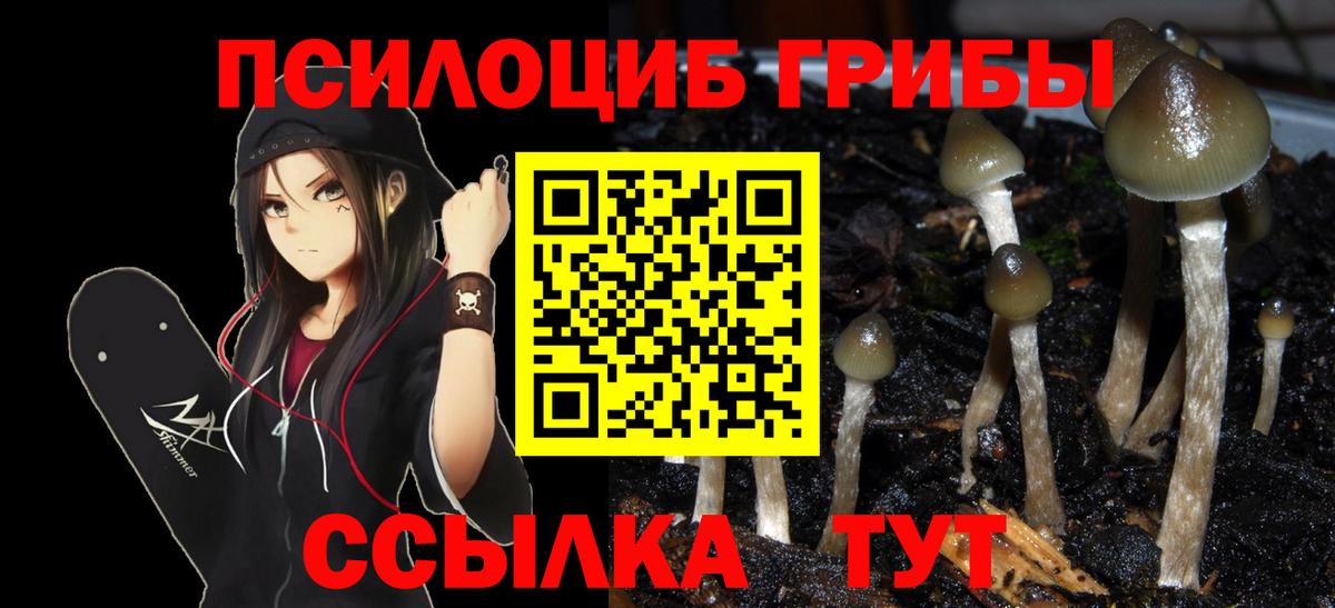 Галлюциногенные грибы мицелий Каменск-Шахтинский